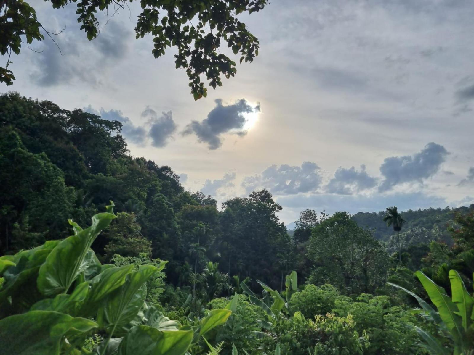Silver Hill Ecovillage Kurunegala Exterior foto