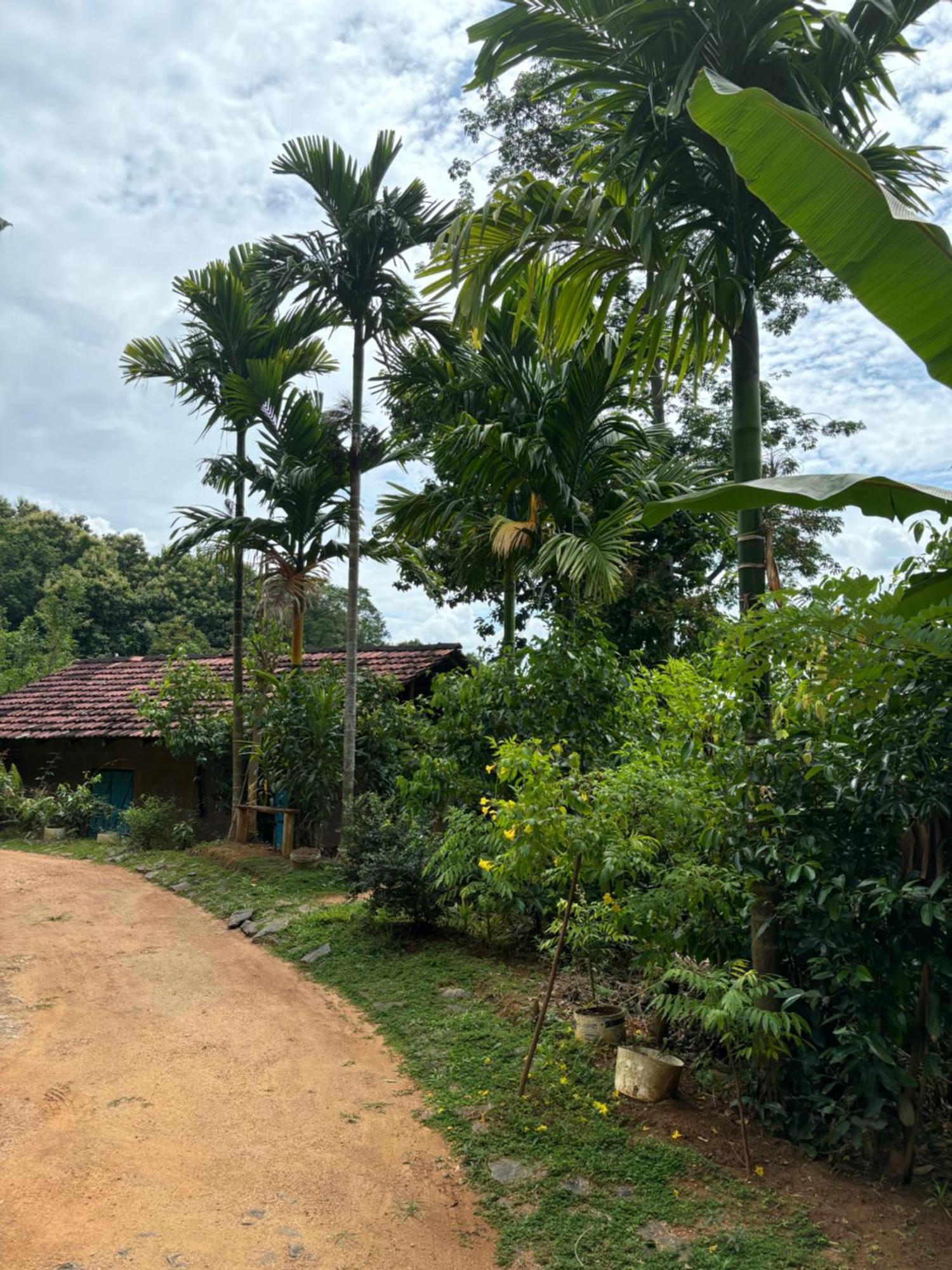Silver Hill Ecovillage Kurunegala Exterior foto